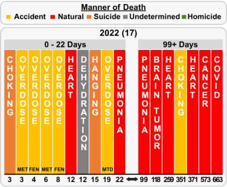 Manner of Death in Custody for 2022