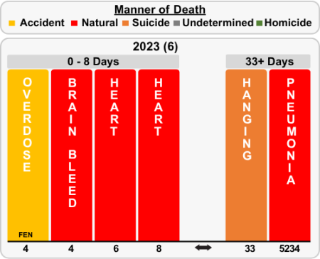 Manner of Death in Custody 2023