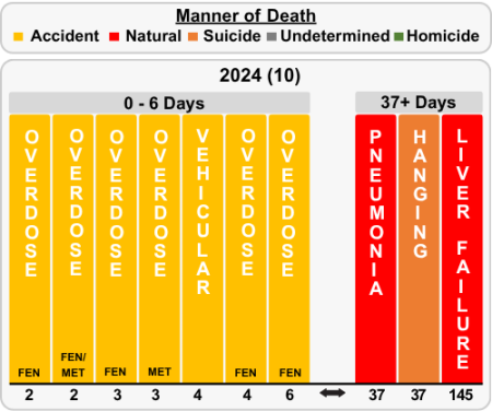 Custodial Connected Death 2024