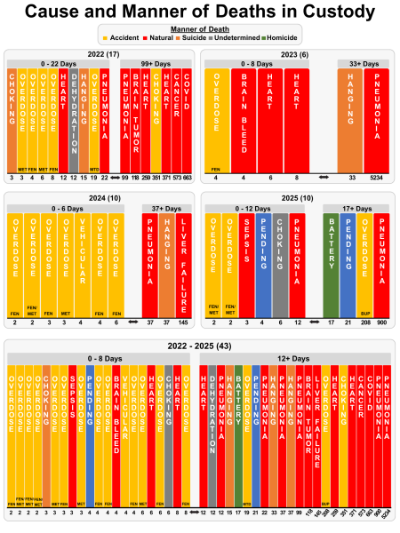 Causes of Custodial Connected Deaths for the years 2022-2025